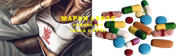 мяу мяу мука Абаза