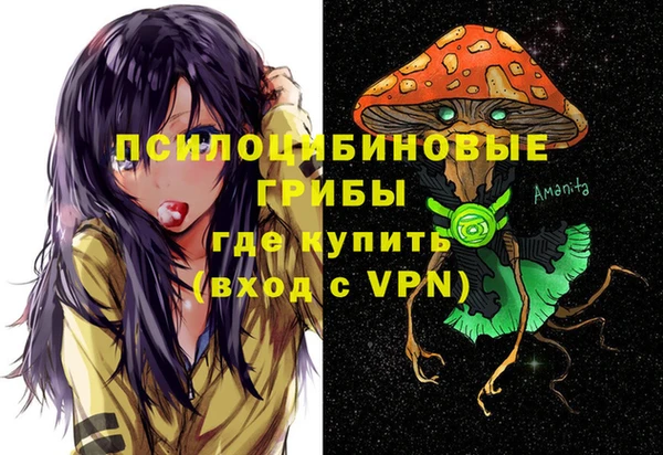сатива Абинск
