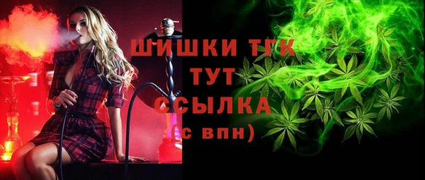 сатива Абинск