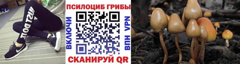 Галлюциногенные грибы мухоморы  ссылка на мегу ONION  Спас-Клепики 