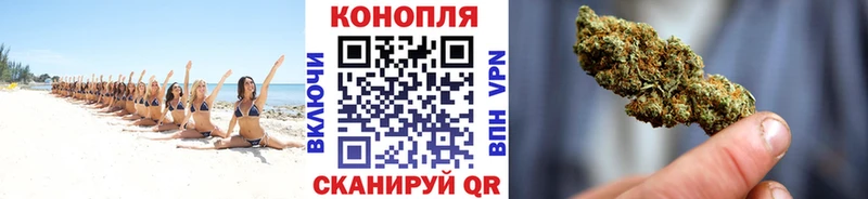 Конопля ГИДРОПОН  kraken   Спас-Клепики  закладки 